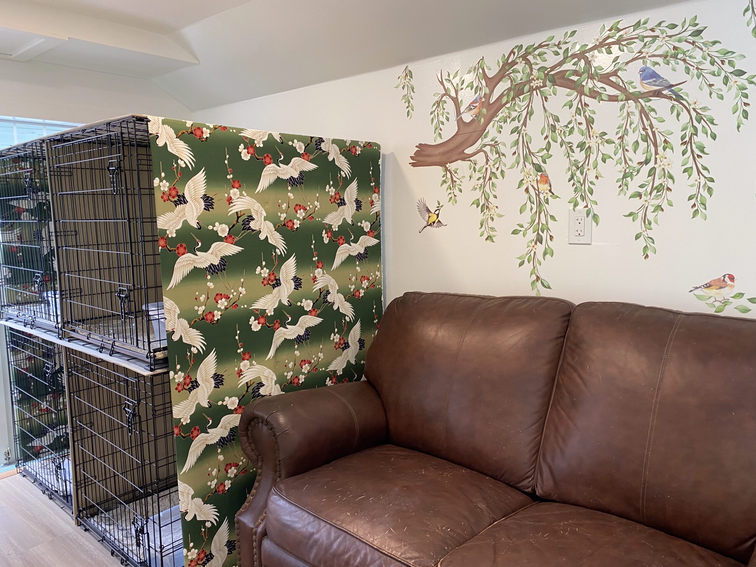 Clean cat boarding area with beds and play space