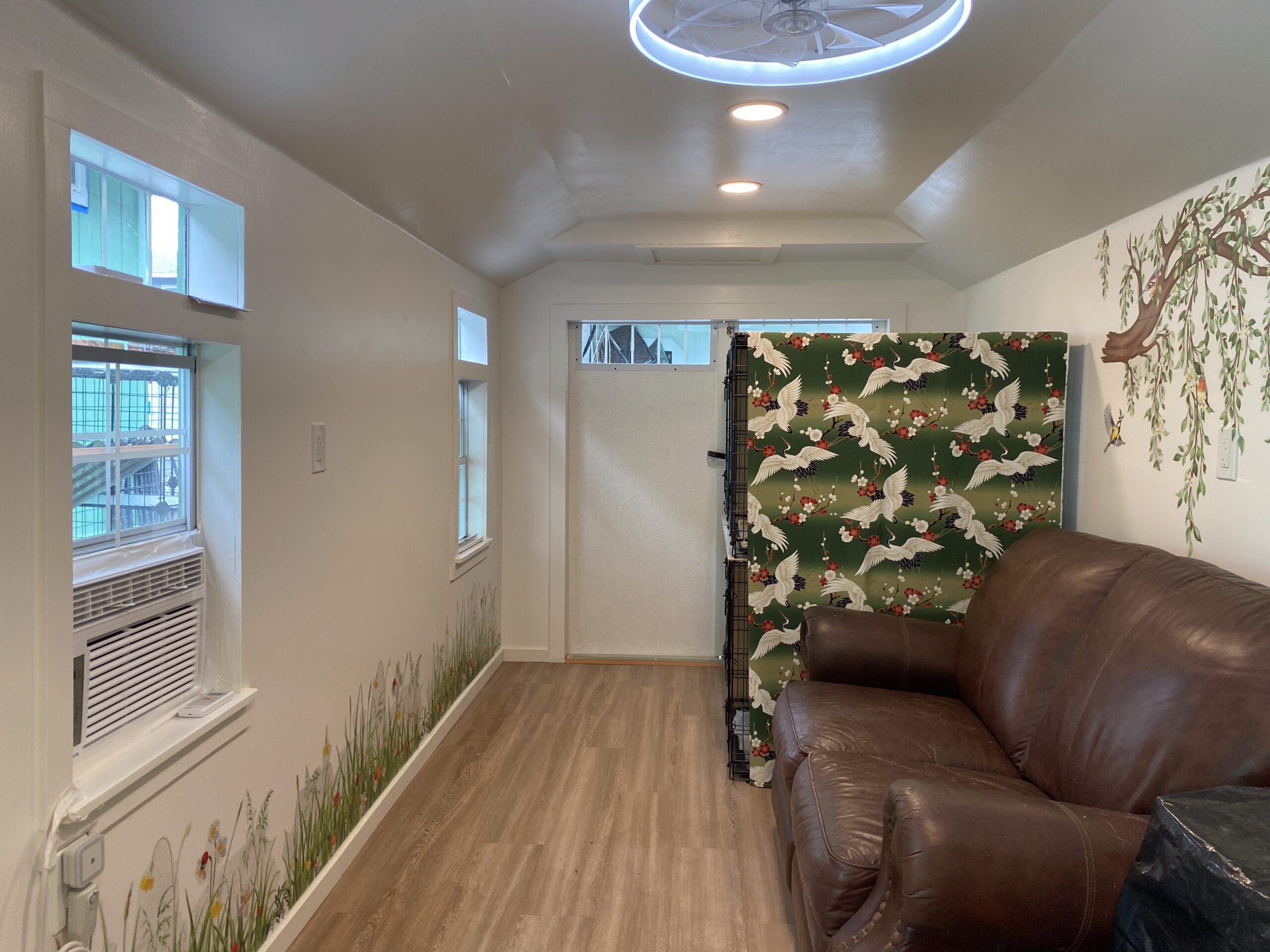 Cat lounging in a calm home-style boarding room